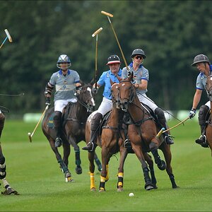 aacomp polo 20120901 0678