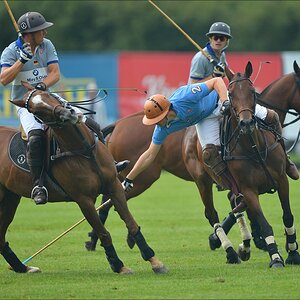 aacomp polo 20120901 0641