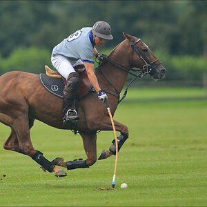 aacomp polo 20120901 0597