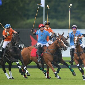 aacomp polo 20120901 0433
