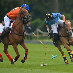 aacomp polo 20120901 0217