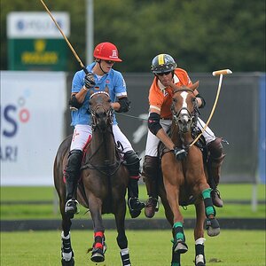 aacomp polo 20120901 0105