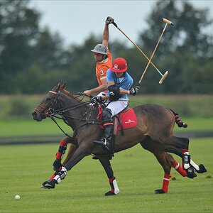 aacomp polo 20120901 0076