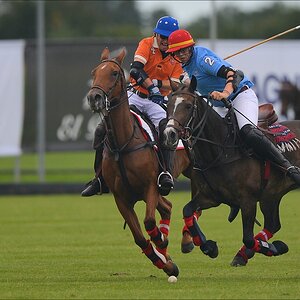 aacomp polo 20120901 0033