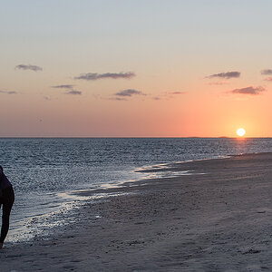 monkey mia sonnenaufgang1