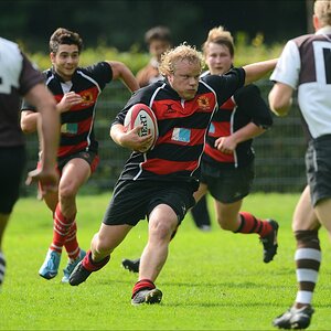 aacomp HRC vs Pauli 20120915 0229
