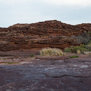 red bluff8