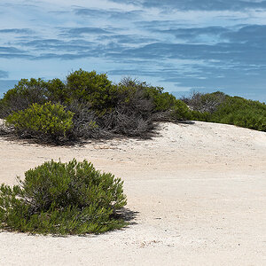 shell bay1