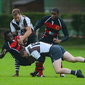 aacomp HRC vs Pauli 20120915 0405