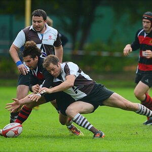 aacomp HRC vs Pauli 20120915 0464