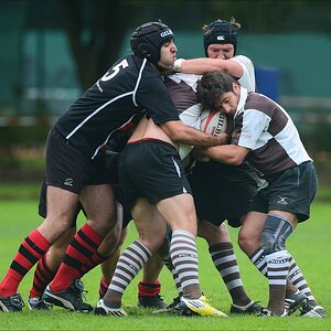 aacomp HRC vs Pauli 20120915 0604