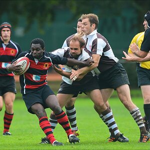 aacomp HRC vs Pauli 20120915 0677