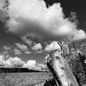 DSC0231B