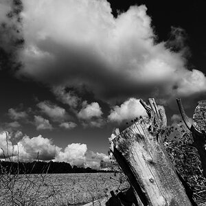 DSC0231 v 2