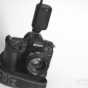 KR DSC 0444SW