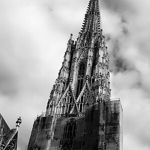 st stephan im kleid 2