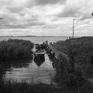 HP5, T-Max Entwickler