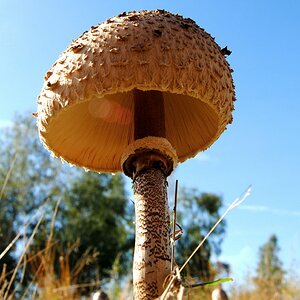 in der Tevernerheide am 30.09.2012
