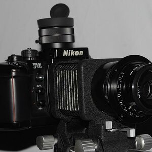 comp  ROL52791300 ROL5279