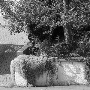 2 Leica01ps auschnitt