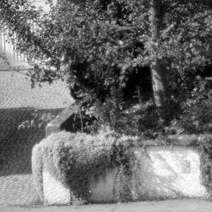 2 Nikkor01ps ausschnitt