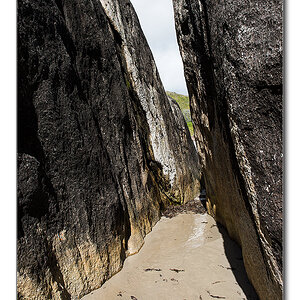 elephant beach4