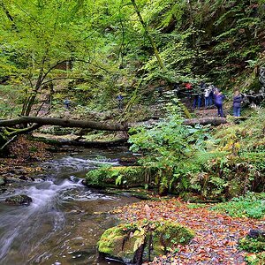 Baybach 0013
Taumschleife Baybachklamm bei leichtem Regen am 14.10.2012
D800E auf Sirui N-2204 und Kugelkopf K-20X
