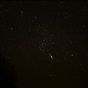Orion