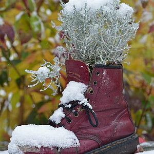 Herbst Winter Schuh