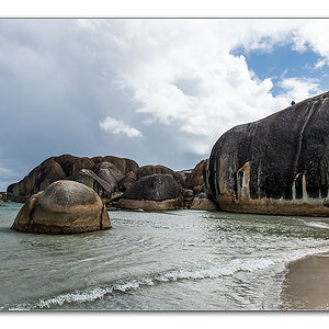 elephant beach5