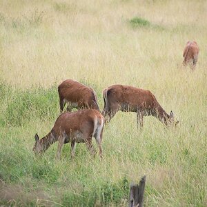 20120715 1857 [E M5] 300 mm,1 125 Sek. bei ƒ   6,3
