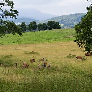 20120715 1866 [E M5] 45 mm,1 200 Sek. bei ƒ   6,3