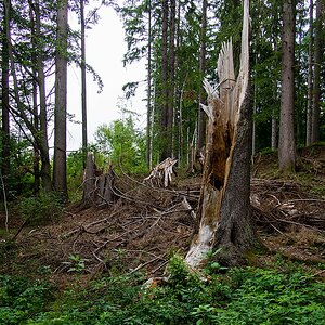 20120715 1872 [E M5] 14 mm,1 80 Sek. bei ƒ   6,3