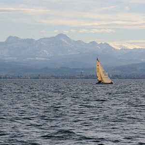 Föhnstimmung über dem Bodensee, Säntis
DSD 4819