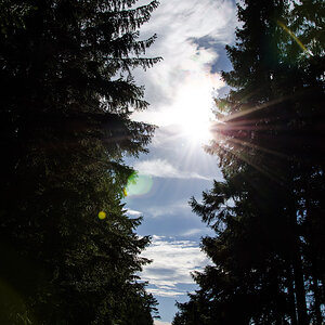 Waldweg in der Nähe von Detmold