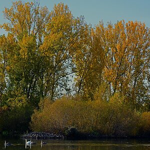 ND8 2547 1000