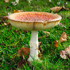 2012 10 19 15 40 30 1