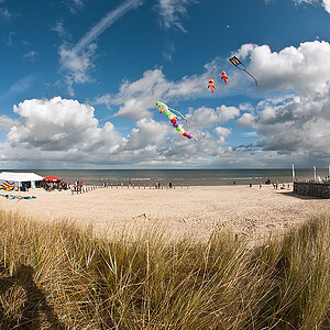 Sigma 8mm