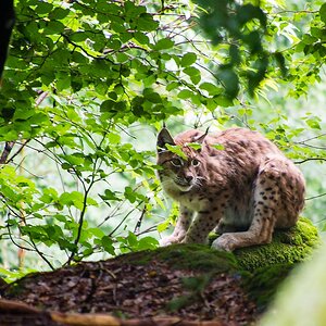 20120716 2103 [E M5] 300 mm,1 25 Sek. bei ƒ   5,6