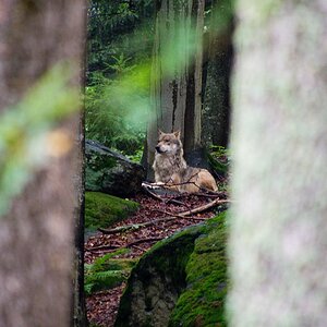 20120716 2161 [E M5] 300 mm,1 30 Sek. bei ƒ   5,6