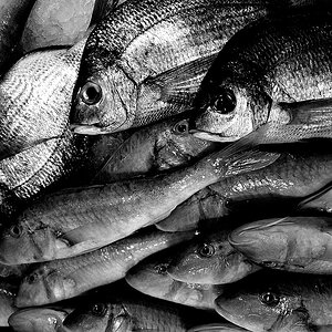 fischmarrkt 1 passsw