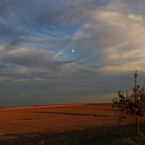 Herbstlicht