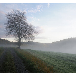 Der Weg a29287946