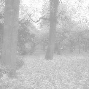 KR DSC 0665 Nebel