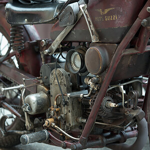 DSC2585kws