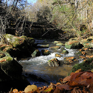 20121028 DSC 0887 Bearbeitet