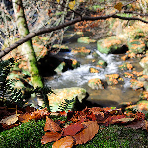20121028 DSC 0893 Bearbeitet