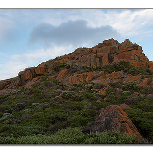 naturaliste3