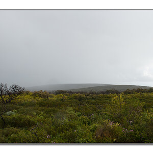 naturaliste5