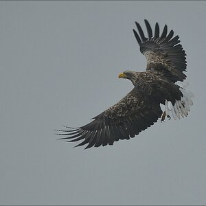 aacomp usedom 20121117 0414